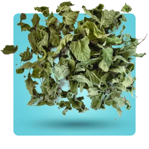 سبزی خشک