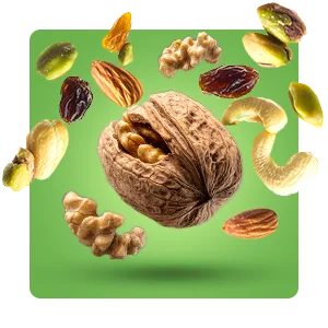 آجیل و خشکبار
