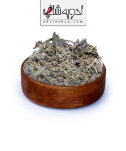 اسطوخودوس خارجی